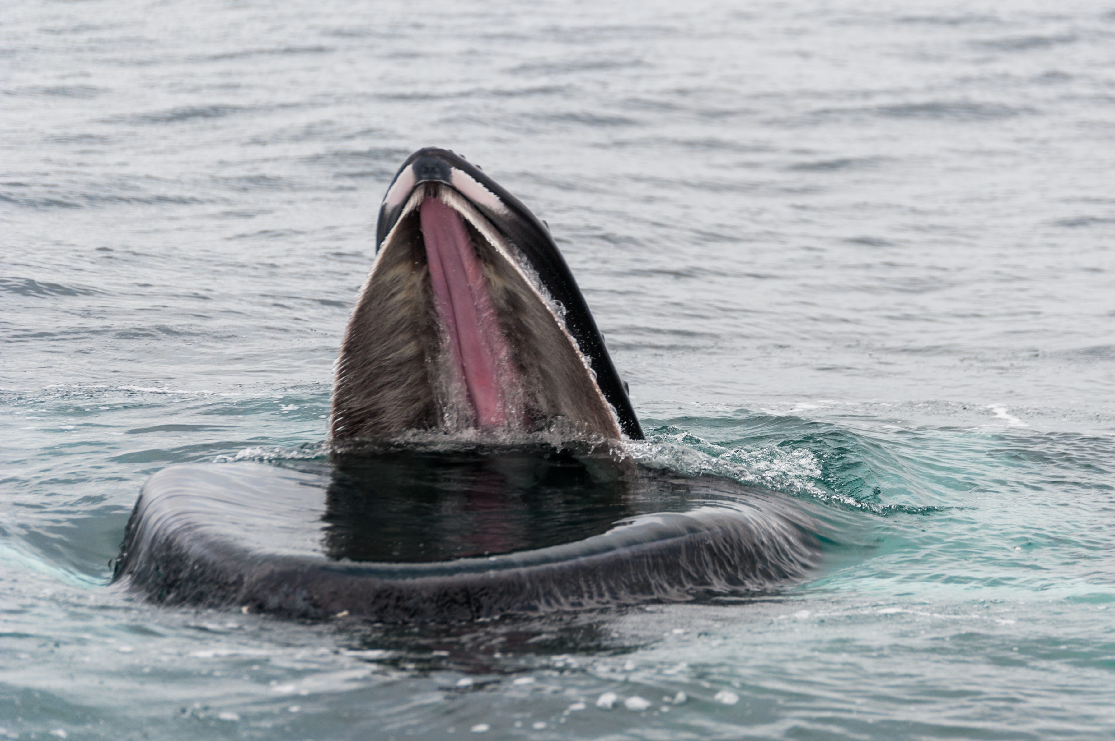 1 Day Start Sailing Website Pix (2) 1